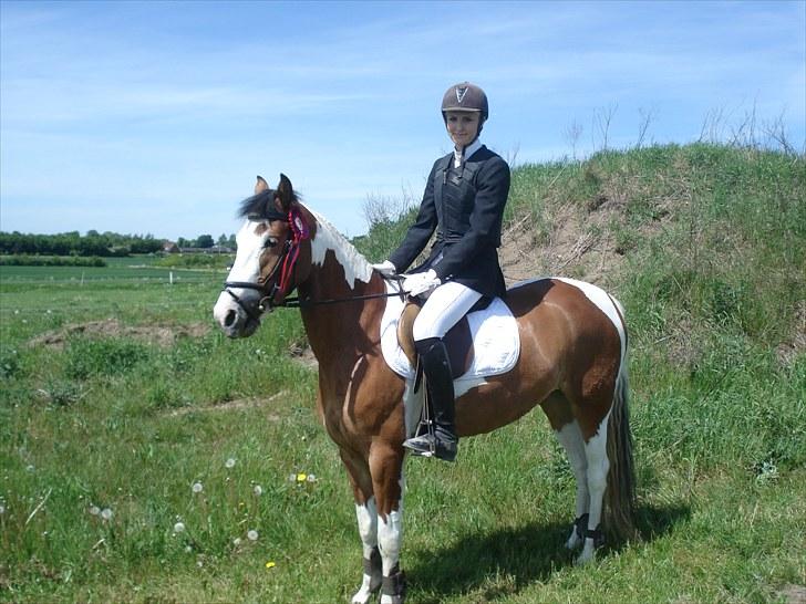 Pinto Julianebjergs Surprise billede 18