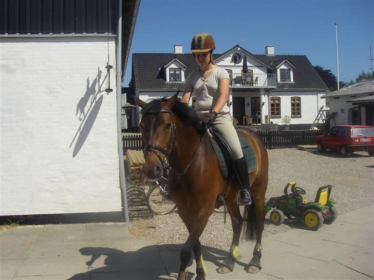 New Forest Elmholts Corso(har låndt) - vi var lige ude at se på smøl billede 6