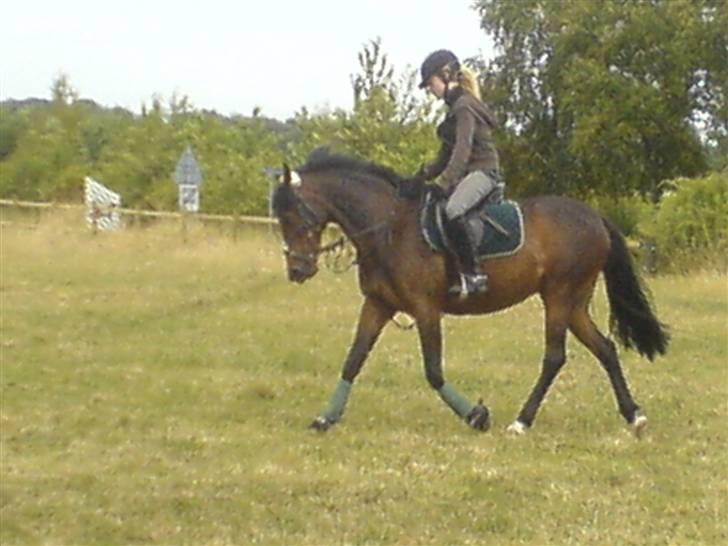 DSP okay charlie! SOLGT ;( - bassee ! billede 7