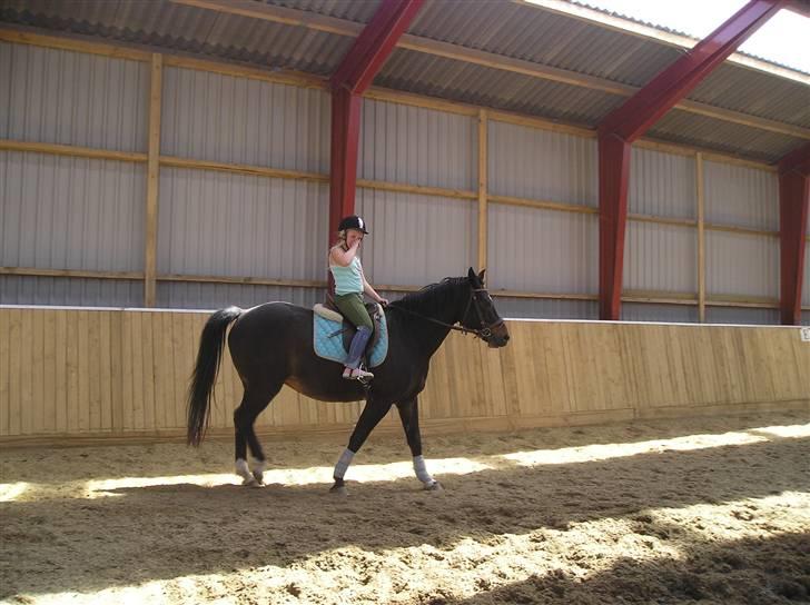 Oldenborg GIPSY - Nuh.. Nu traver vi ik jeanne ;) .. Foto : Christina Hedegaard <3 billede 7