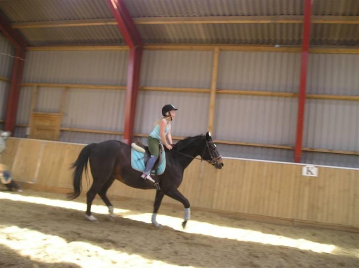 Oldenborg GIPSY - Hold kæft du sider mongolisk jeanne .. Foto : Christina billede 8