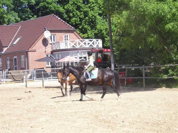 Oldenborg GIPSY - Uden for :) Ja.. ØV vi gik ind :( .. Foto : Christina Hedegaard <3 billede 10