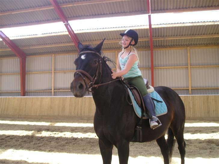 Oldenborg GIPSY - Øv øv.. Nu skulle vi ind :( Øv bøv .. Foto : Christina Hedegaard <3 billede 12