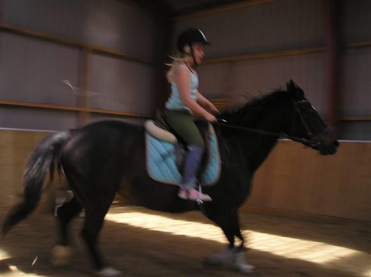 Oldenborg GIPSY - Uh ja ja endlig .. Foto : Christina Hedegaard <3 billede 13