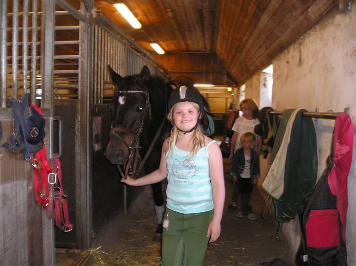 Oldenborg GIPSY - På vej ud og ride.. Mongol jeanne .. Foto :  Christina Hedegaard :) billede 15