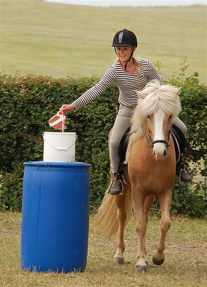 Islænder Storgaardens Glama - ponylege på junior ridelejren <3 billede 7