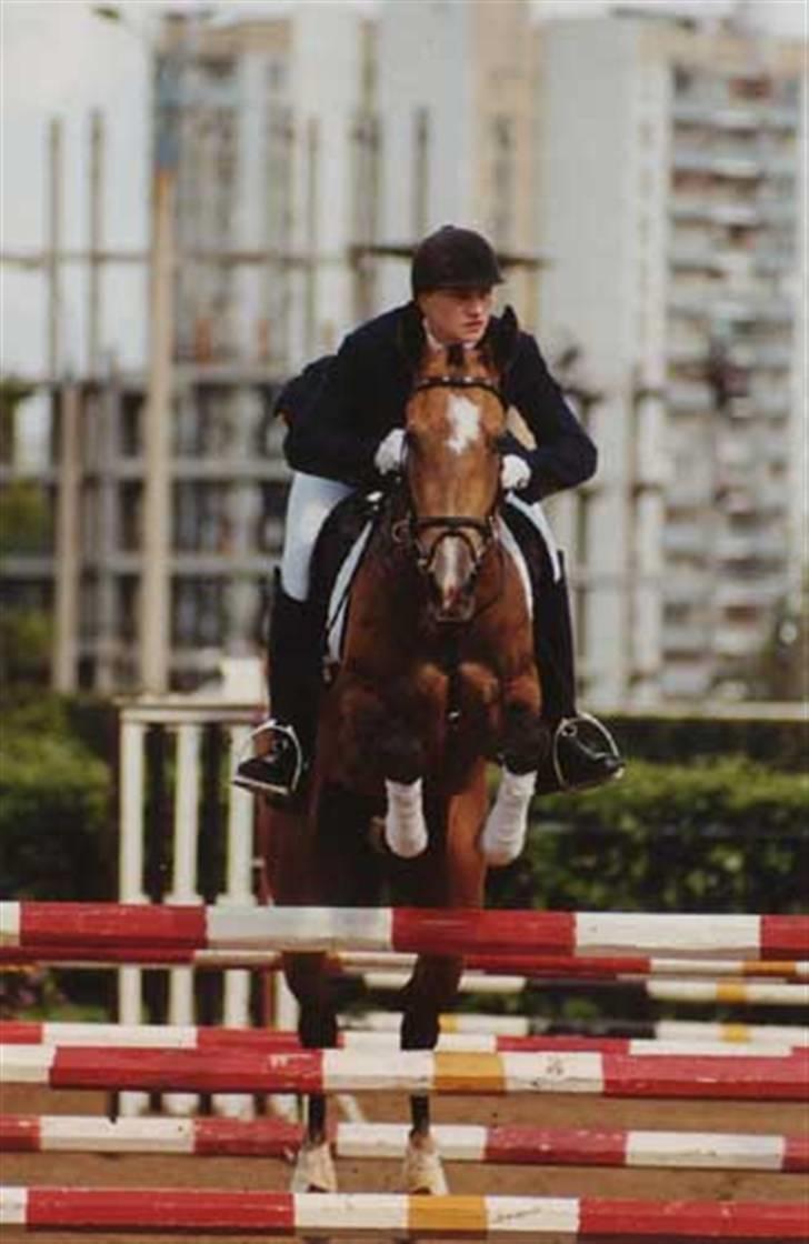 Akhal-Tekiner GALAMBIIA - Dette billede er venligst udlånt fra tidligere ejer. billede 6