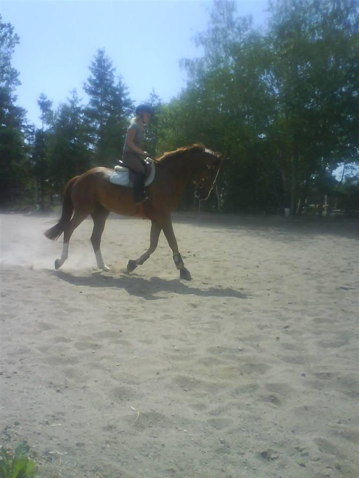 Anden særlig race Estrupvangs Poseidon - Taget af Maria. billede 2