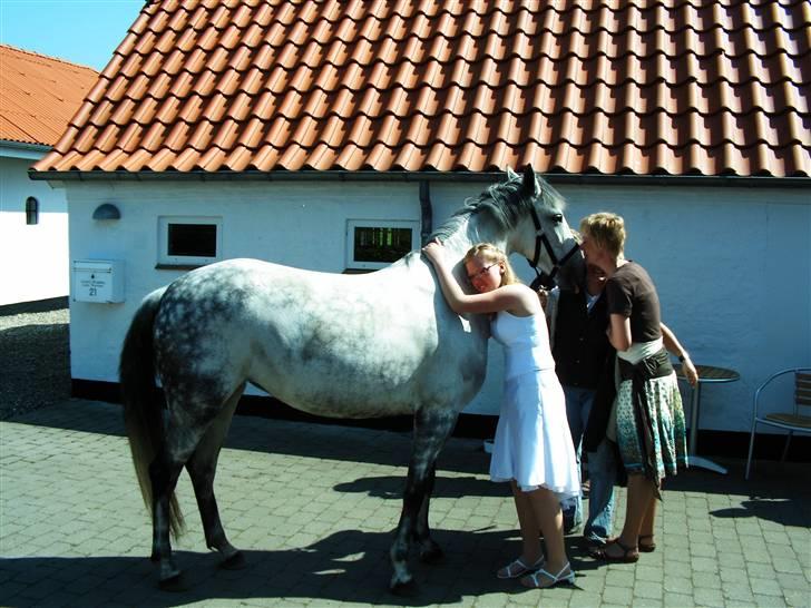 Anden særlig race Smilla  - Til min konfirmation da jeg fik hende.. tudede i virklig lang tid så glad var jeg.. :-) billede 3