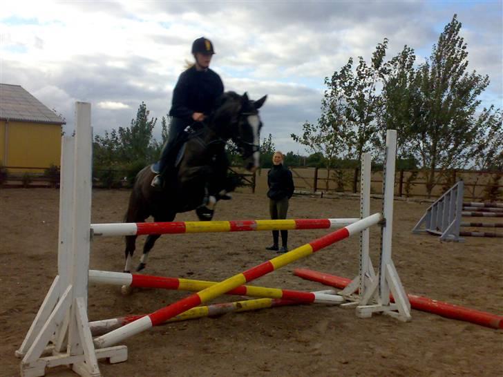 Hollandsk Sportspony Nadja van de Zonnehoeve (Solgt) - Sunny og mig 23.09.09 billede 1