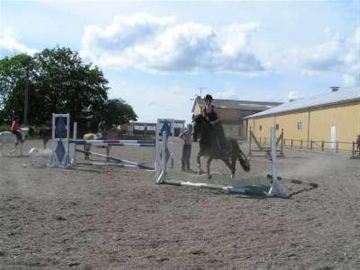 Hollandsk Sportspony Nadja van de Zonnehoeve (Solgt) - Ridelejr på CRK 09. billede 3