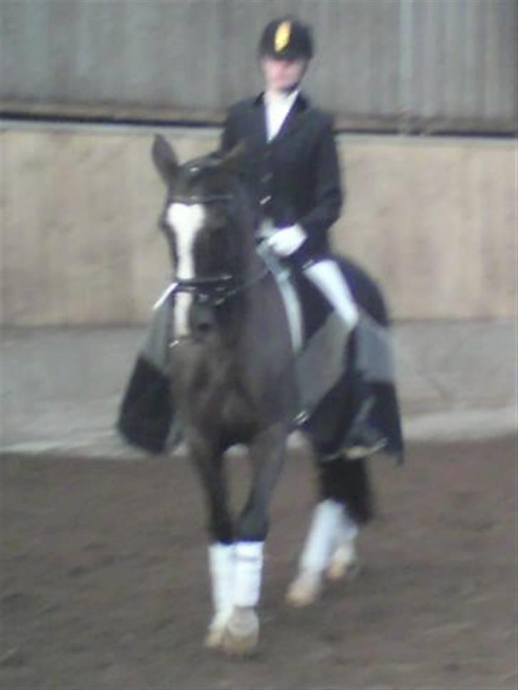 Hollandsk Sportspony Nadja van de Zonnehoeve (Solgt) - Er hun ikke smuk, Sunny altså:-) 31.okt. 09 billede 6