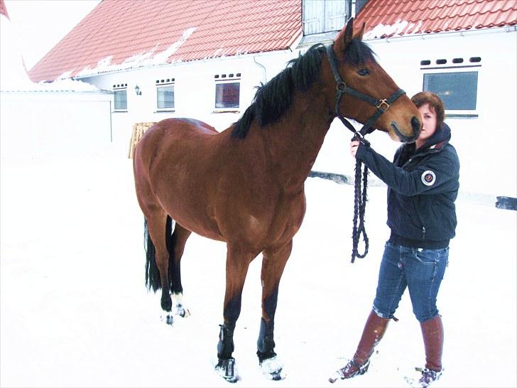 Connemara Torps Melanie  billede 17