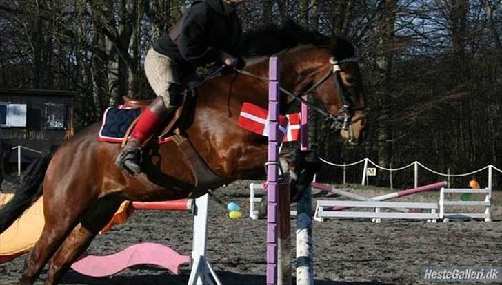 Connemara Torps Melanie  billede 18