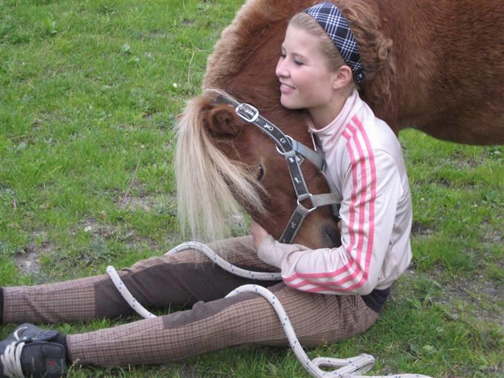 Shetlænder lucas :D - ;D elsker dig! billede 15