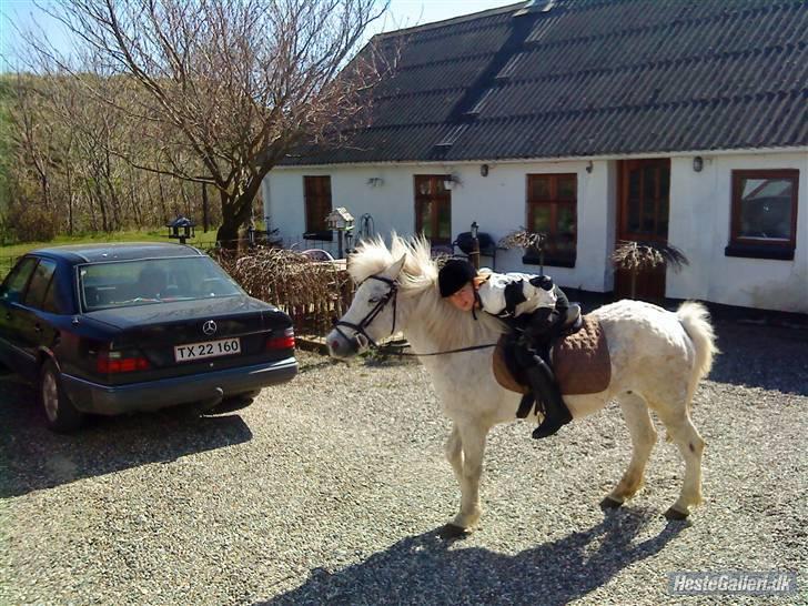 Anden særlig race Pjuske<3 - Pjuske og mi hjemme ved min mor(: billede 3