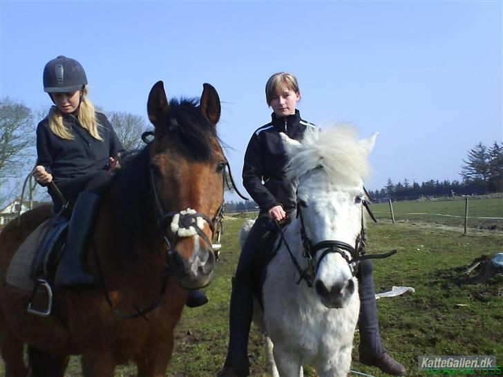 Anden særlig race Pjuske<3 - Miq,Marco,Duut&Pjuske<´3 billede 5