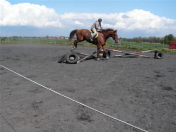 Oldenborg Ensock af Dybendal - Meget ringe billede, men det viser os den ene gang vi pt. har været ude at springe. Hvordan det så ud ses meget bedre på en video jeg har liggende herinde ;) billede 5