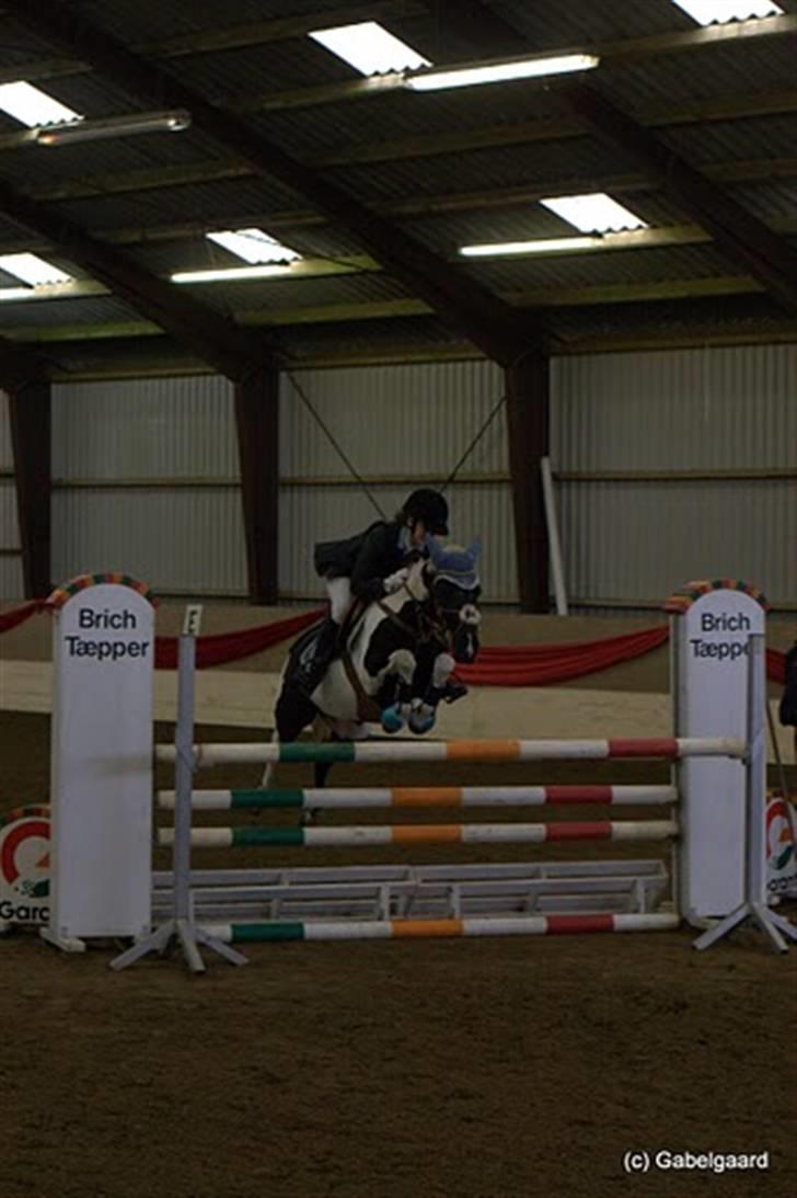 Pinto Bundgaards Chess - 120 cm<3  hjemme :b  billede 10