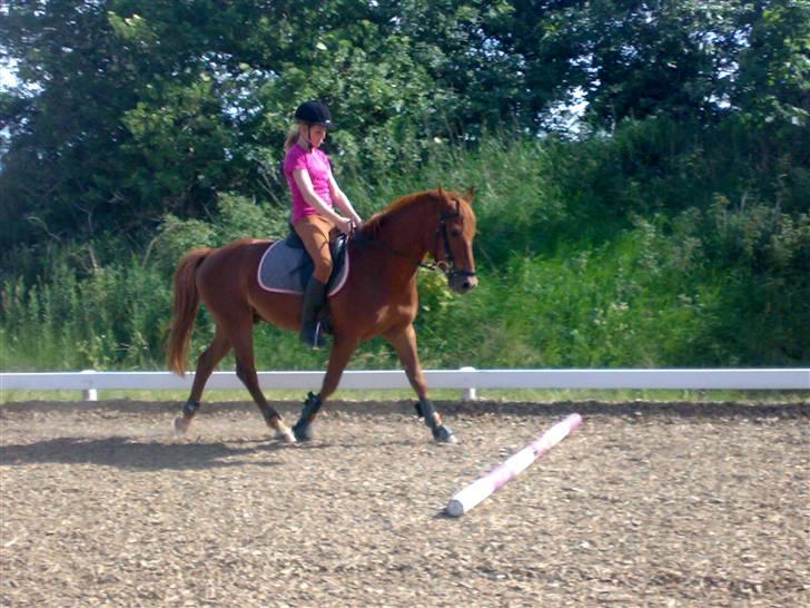 Anden særlig race Baloo. <3 R.I.P: - vi kunne alt sammen ! <3 billede 4