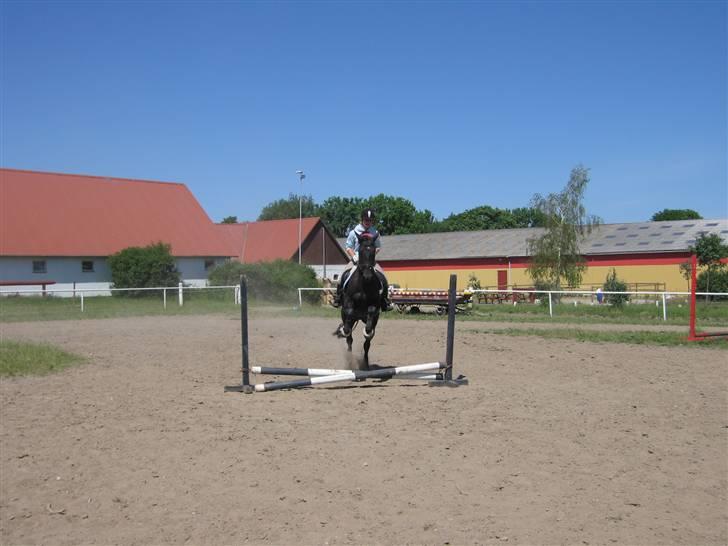 Dansk Varmblod Naia R.I.P   08-07-2010 - spring ;D det skal lige siges a det er anden gang at jeg springer på hende og hun spriner rimelig højt over ;D billede 13