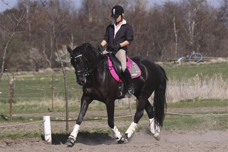 Dansk Varmblod Naia R.I.P   08-07-2010 - Mig og min skat <3 billede 14