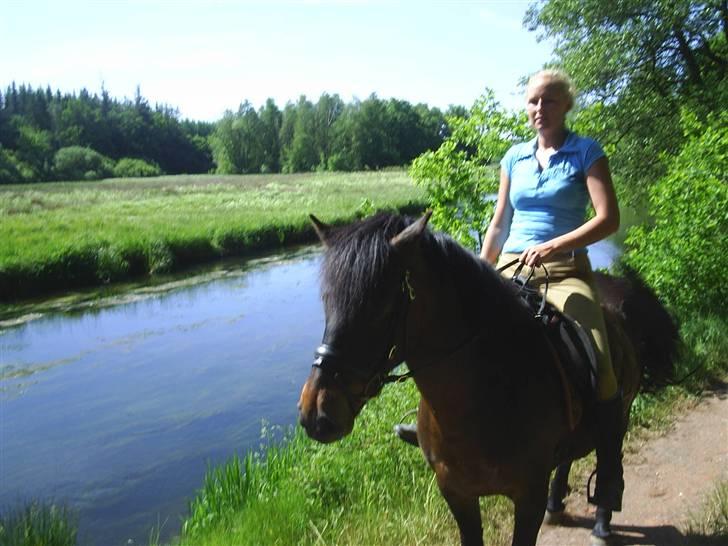 Anden særlig race Darling - på tur ved gudenåen, Det er Maria der rider ham:) billede 6