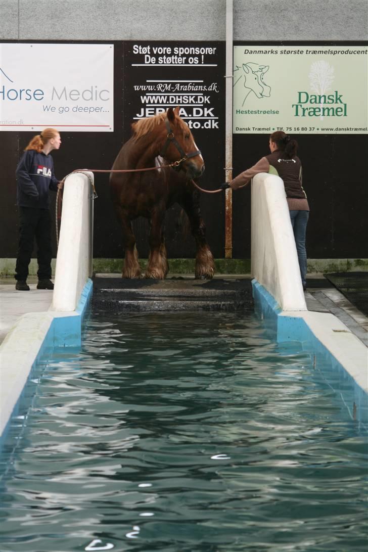 Jyde SMUKKE Sally *R.I.P.* billede 10