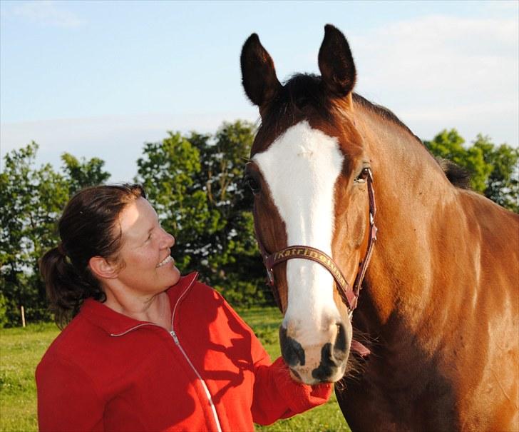Dansk Varmblod Rigolo. - Rigolo og min mor fra hyggedag.             sommer 2010                 Foto: Mig billede 5