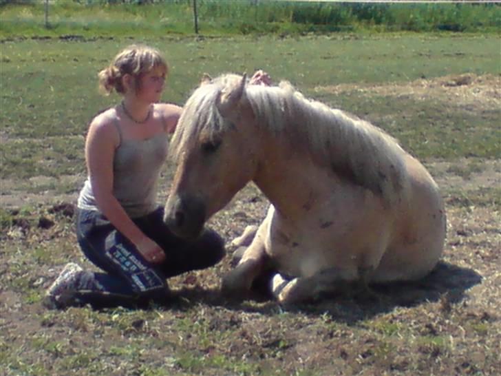 Anden særlig race Basse - Hyggestund i solskind. billede 7