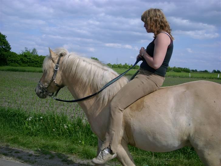 Anden særlig race Basse - Vi elsker at tøffe rundt i den skønne natur billede 9