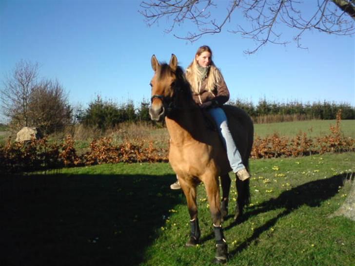 Anden særlig race ribena - mig på min tøs´pige :) billede 4