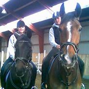 Hannoveraner Pompidou 21