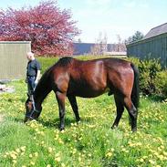 Traver William Way RIP