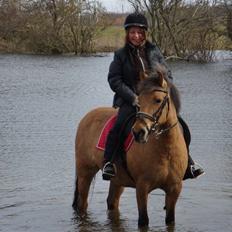 Anden særlig race Frydenhøjs Freja