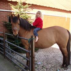 Anden særlig race Frydenhøjs Freja