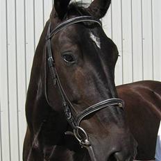 Oldenborg Bessie af Bækkeskov