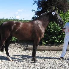Oldenborg Bell af Vodagergård