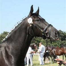 Oldenborg Bell af Vodagergård