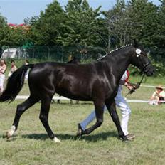 Oldenborg Bell af Vodagergård