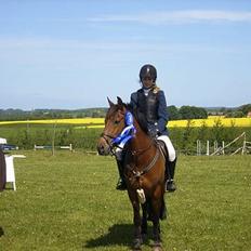 Anden særlig race Comet