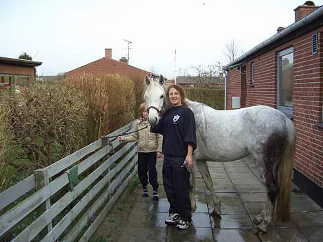 Anden særlig race Shadow - "stor´ vaskedag" hjemme;p billede 9