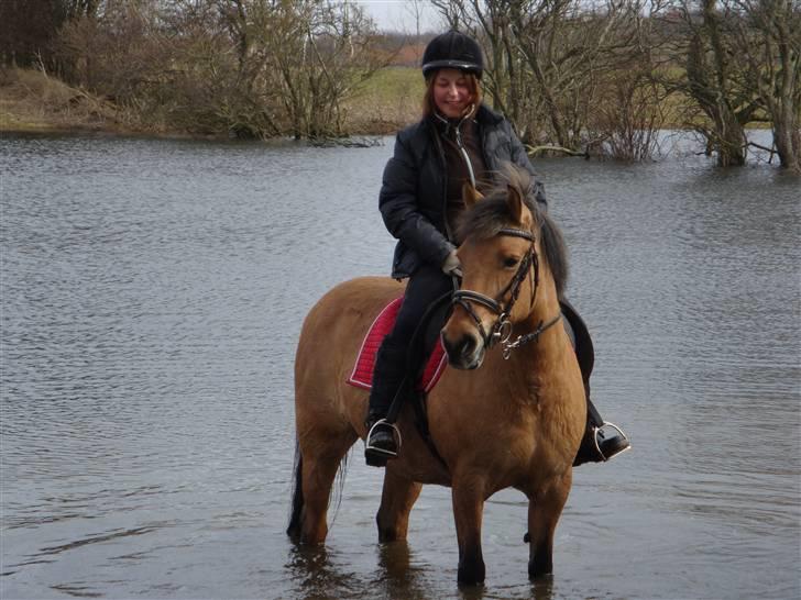 Anden særlig race Frydenhøjs Freja - Freja og jeg i vores "hjemmelavet" sø - hun er da ikke ræd for vand :) 28 marts 2010 billede 1