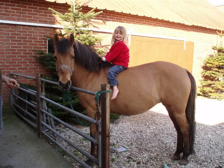Anden særlig race Frydenhøjs Freja - Cille og Freja i maj 08 :) billede 3