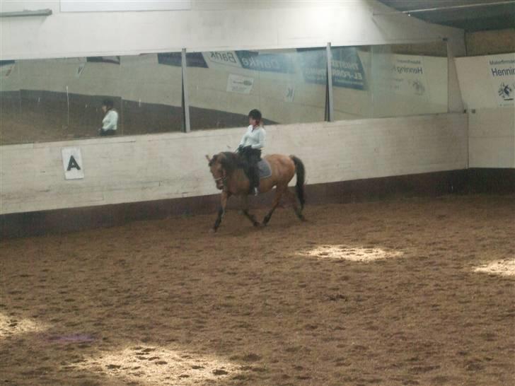 Anden særlig race Frydenhøjs Freja - 28 sep 08 billede 6