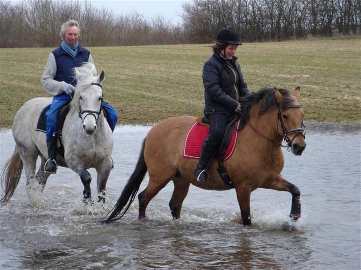 Anden særlig race Frydenhøjs Freja - Mig og far på Casel ude i søen sammen - 28 marts 2010 billede 7