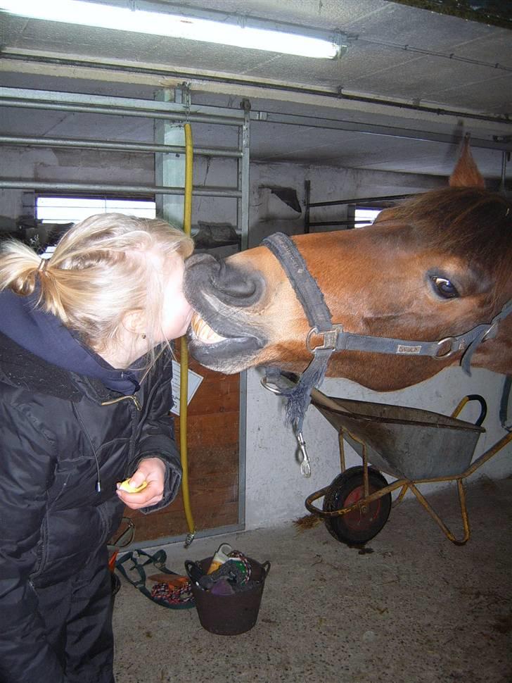 Anden særlig race Hannibal <3 - 7) Nysse prinsen :) <3 billede 7