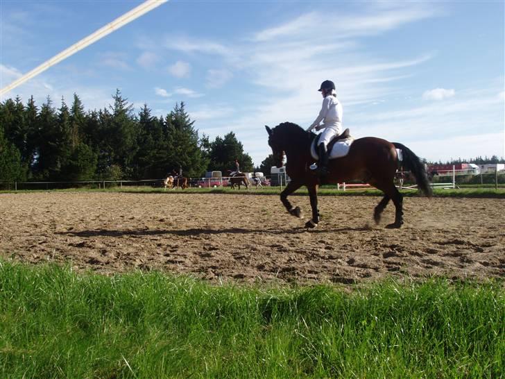 Anden særlig race Hannibal <3 - 10) Hundborg d. 12 september 09 billede 10