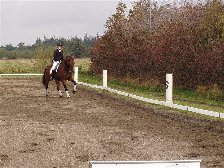 Anden særlig race Hannibal <3 - 11) Stævne billede 11