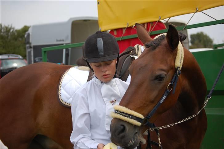 Anden særlig race Hannibal <3 - 15) <3 billede 15